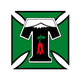 特木科女足logo