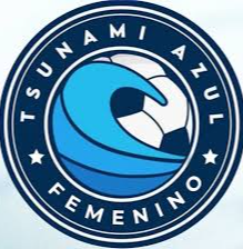 蓝色海啸女足logo