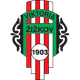 济斯科夫 logo